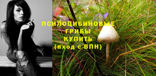 прущие грибы Балабаново