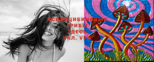ECSTASY Армянск